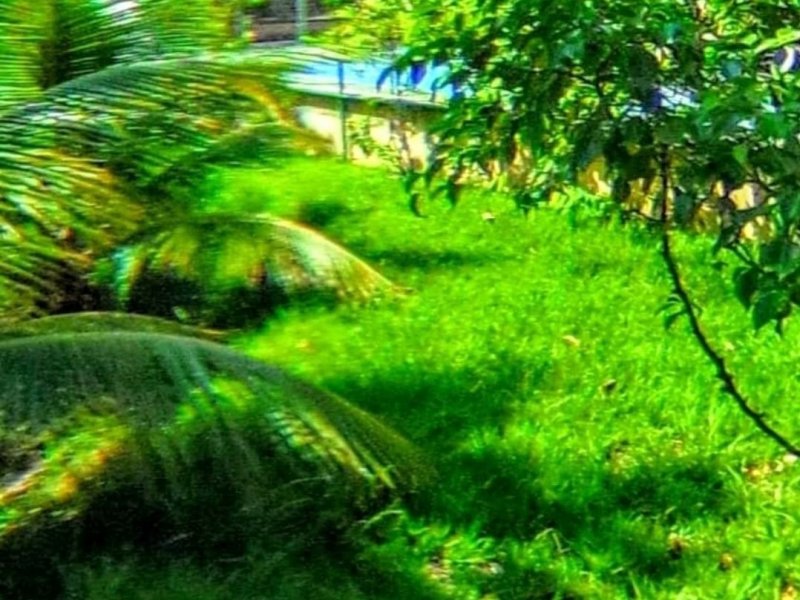 imóvel com 50m² - Freguesia de Jacarepagua - Rio de Janeiro