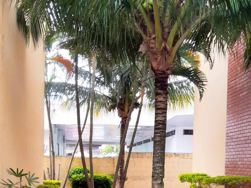 imóvel com 50m² - Freguesia de Jacarepagua - Rio de Janeiro