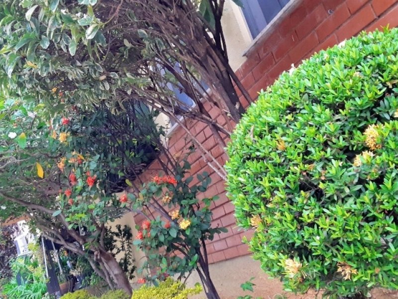 imóvel com 50m² - Freguesia de Jacarepagua - Rio de Janeiro
