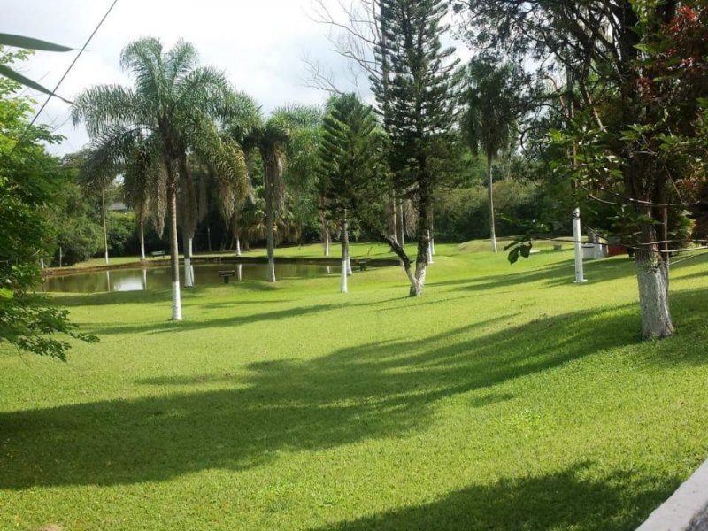 Chácara à venda Guarapó com 24000m² e 5 quartos por R$ 750.000 - 2075724352-img-20181111-wa0057.jpg
