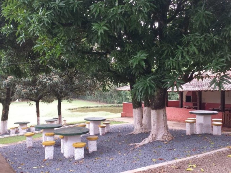 Chácara à venda Guarapó com 24000m² e 5 quartos por R$ 750.000 - 536799893-img-20181111-wa0079.jpg