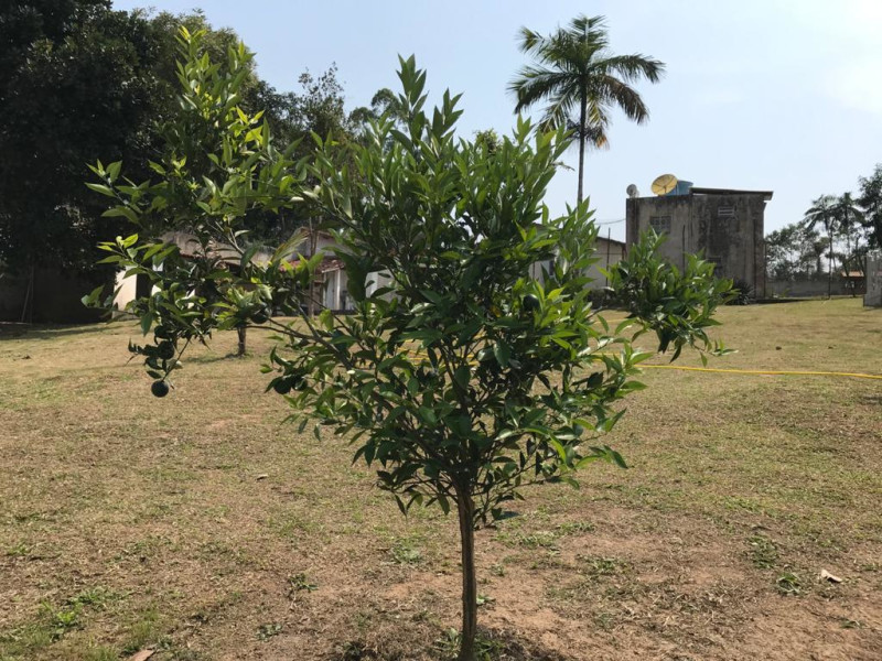 imóvel com 3500m² - Ressaca - Itapecerica da Serra