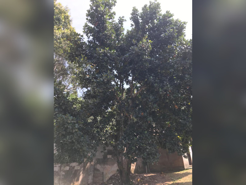 imóvel com 3500m² - Ressaca - Itapecerica da Serra