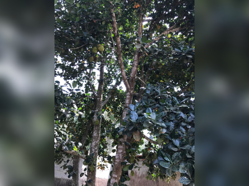 imóvel com 3500m² - Ressaca - Itapecerica da Serra