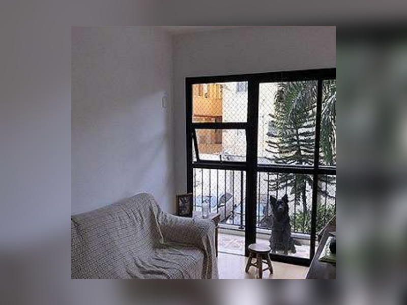 Apartamento à venda Praça da Bandeira com 68m² e 2 quartos por R$ 530.000 - screenshot-20200829-174049.png
