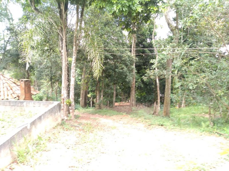 Chácara à venda Pau Arcado com 5138m² e 6 quartos por R$ 260.000 - 1243635734-1.jpg