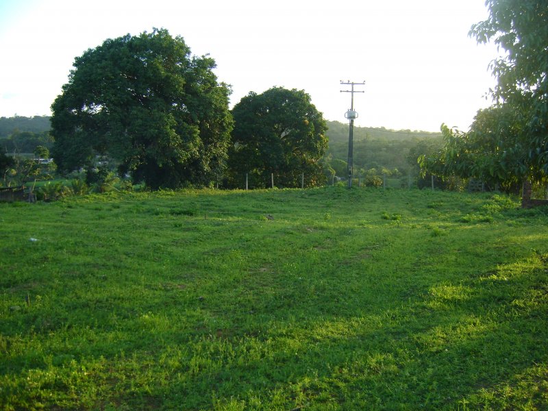 Terreno à venda Alberto Maia com 45m² e  quartos por R$ 5.500.000 - 113679716-dsc01534.JPG
