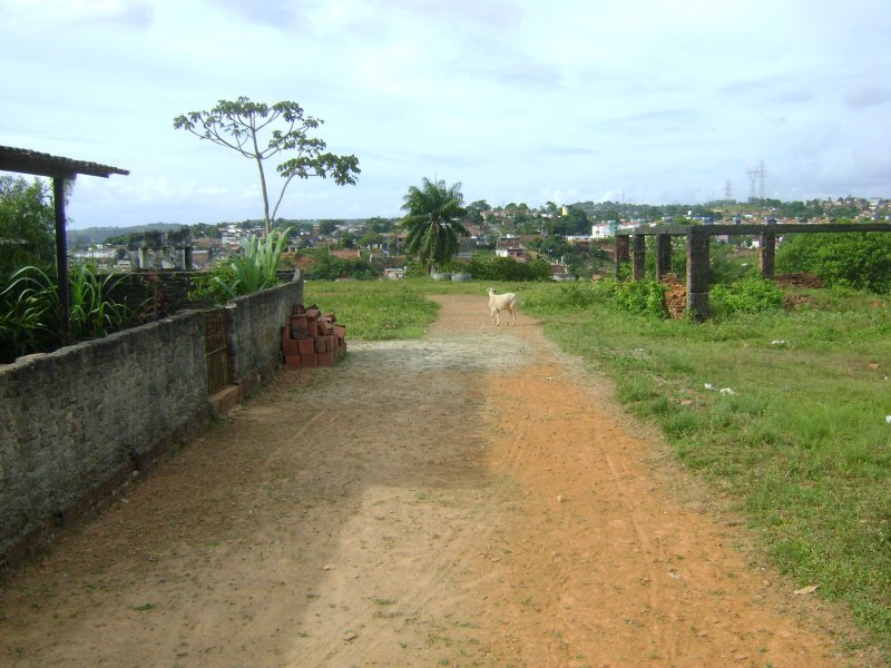 Terreno à venda Alberto Maia com 45m² e  quartos por R$ 5.500.000 - 206016659-dsc01775.JPG