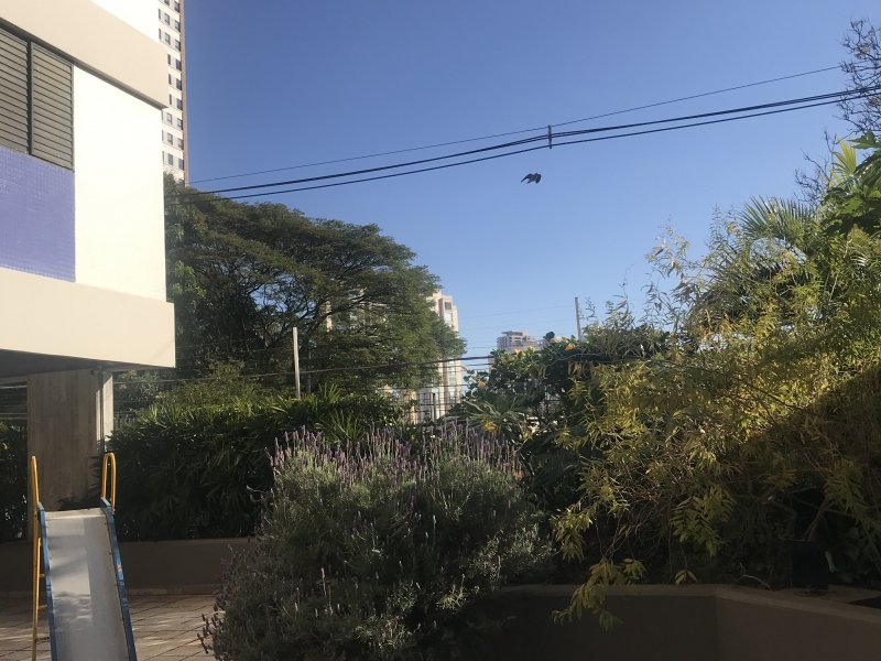 imóvel com 127m² - Cambuí - Campinas