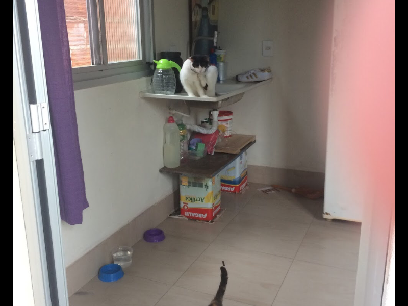 Casa à venda Pontal das Garças com 180m² e 4 quartos por R$ 200.000 - 1288154547-f8bd4c37-0a54-4a36-b393-b78241745b88.png