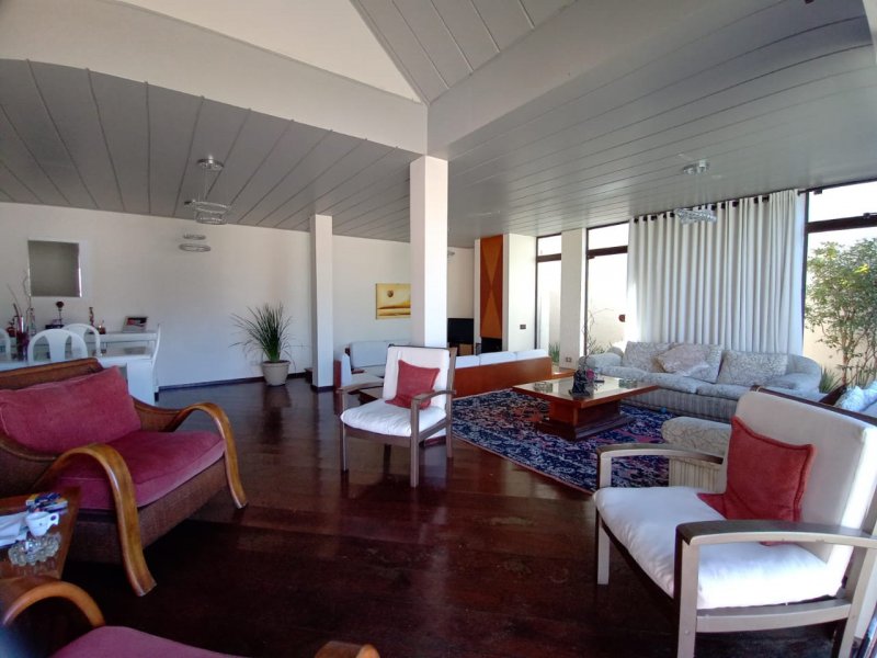 Casa à venda Jardim São Bento com 600m² e 5 quartos por R$ 1.950.000 - 955851680-9ba95461-4de0-4787-b1eb-38e32ea45846.jpeg