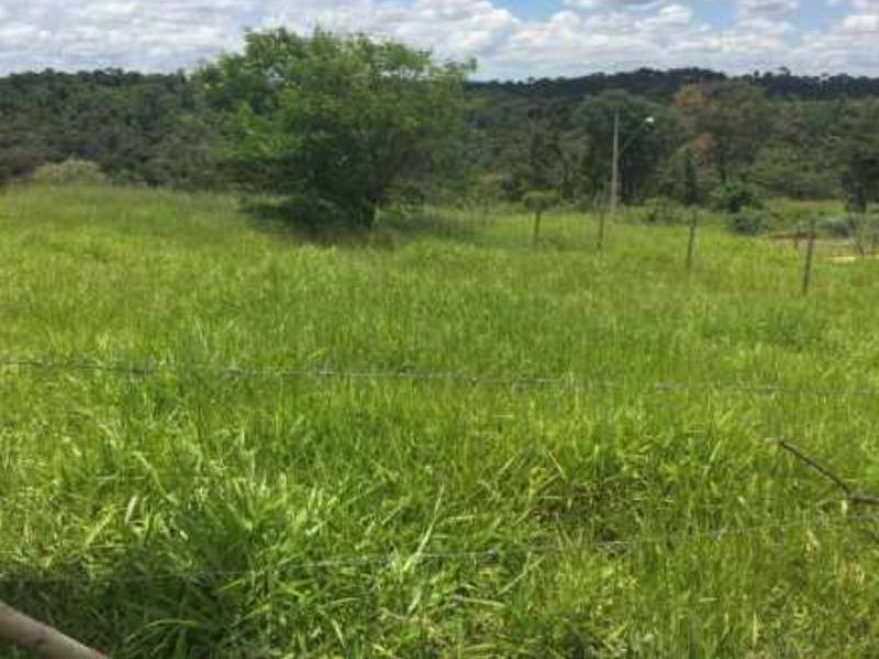 Terreno à venda Jequitibá com 360m² e  quartos por R$ 80.000 - 1815117200-lote-verde-vale-vespasiano-2.png