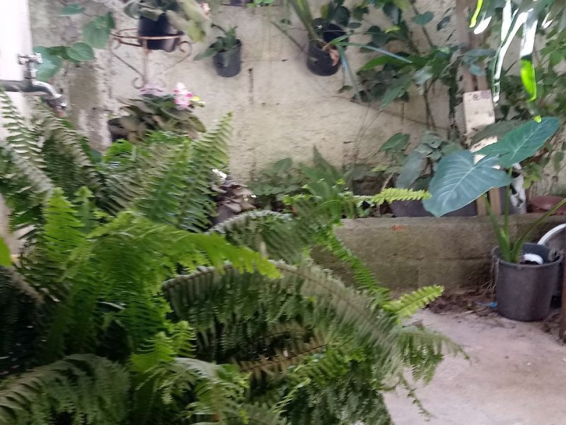 Casa à venda Jardim Limoeiro com 250m² e 6 quartos por R$ 290.000 - 824455618-9370682d-bee2-4eda-9b9d-ffd7688e5a9c.jpg