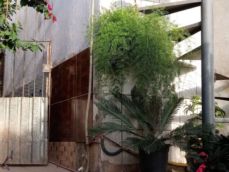 Casa à venda Jardim Limoeiro com 250m² e 6 quartos por R$ 290.000 - 951928825-cc92337c-2c5c-4113-a259-e55dcd19564a.jpg