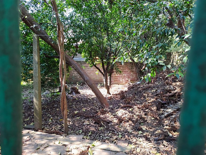 Casa à venda Jardim América com 475m² e 2 quartos por R$ 850.000 - 1726572245-p-20200827-135106.jpg