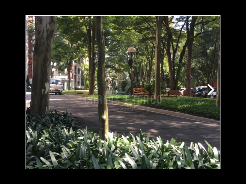 Apartamento à venda Vila Suzana com 263m² e 3 quartos por R$ 750.000 - 16334498-screen-shot-2020-09-03-at-10.png
