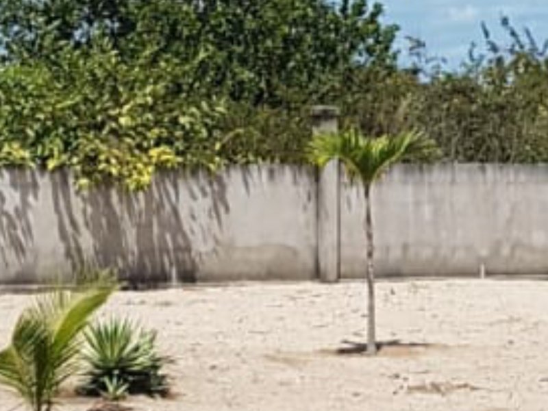 Casa à venda Centro com 1500m² e 4 quartos por R$ 1.800.000 - 1339341960-screenshot-20200816-132636-whatsapp.jpg