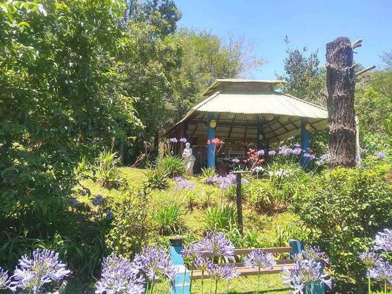 Chácara à venda Refúgio da Serra com 11231m² e 3 quartos por R$ 1.700.000 - casa-1-foto-9-area-externa.jpg