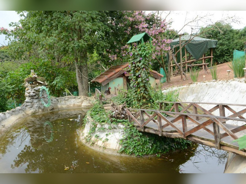 Chácara à venda Refúgio da Serra com 11231m² e 3 quartos por R$ 1.700.000 - img-20181209-4-6c003d39.jpg