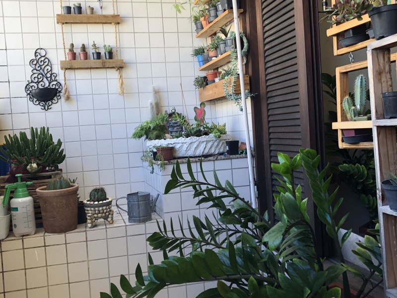 Apartamento à venda Candelária com 110m² e 3 quartos por R$ 270.000 - 39433972-97fe3d8b-2e32-4d7f-aa69-45526a67be04.jpeg