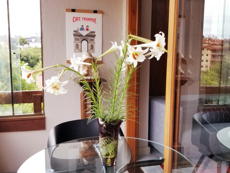 imóvel com 37m² - centro - Gramado