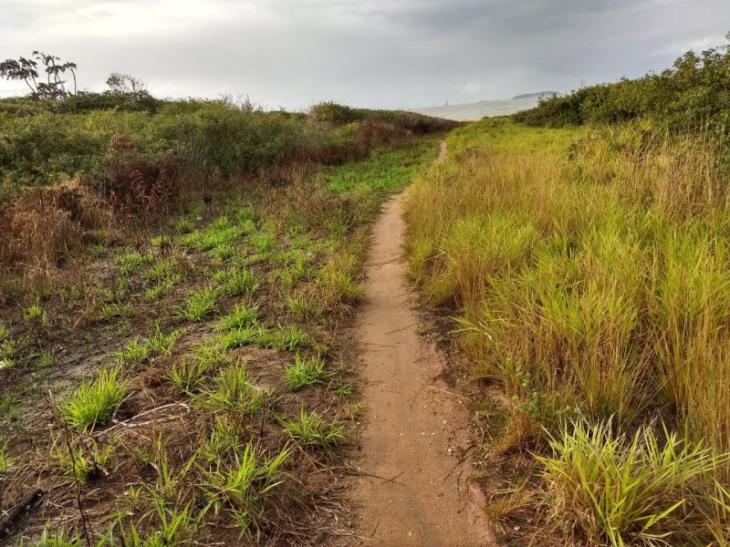 Terreno à venda PARQUE ATLÂNTICO com 35000m² e  quartos por R$ 7.000.000 - 1480574195-img-20200829-wa0129.jpg