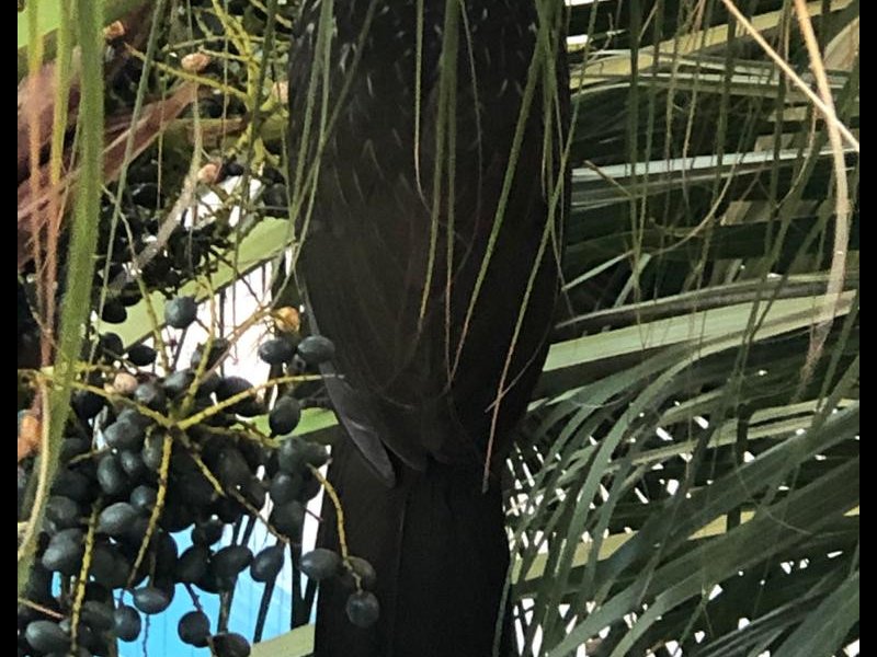 Apartamento à venda Jardim Fonte do Morumbi com 189m² e 3 quartos por R$ 1.390.000 - 1383456553-vistasala.jpeg