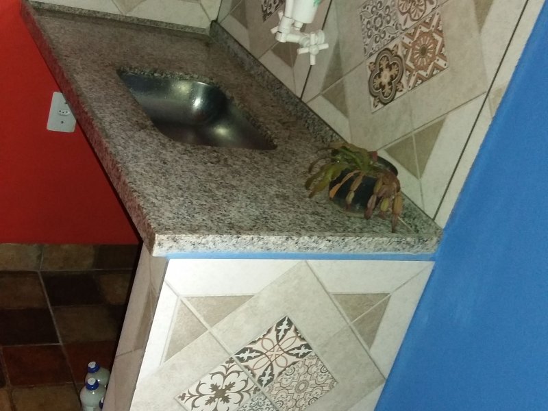 Apartamento à venda Centro com 240m² e 3 quartos por R$ 600.000 - 251400577-img-20200417-wa0036.jpeg