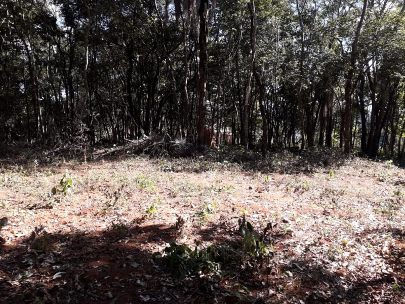 Terreno à venda Trevo de Caeté com 8400m² e  quartos por R$ 169.000 - 1091661332-img-20200723-wa0014.jpg