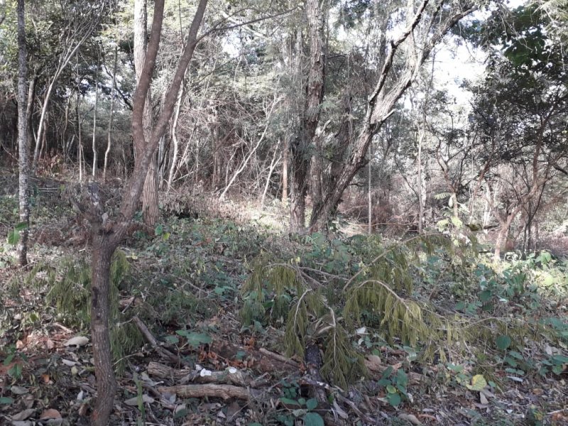Terreno à venda Trevo de Caeté com 8400m² e  quartos por R$ 169.000 - 1306483715-img-20200723-wa0029.jpg