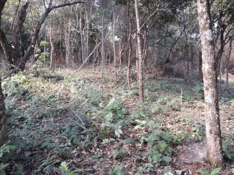 Terreno à venda Trevo de Caeté com 8400m² e  quartos por R$ 169.000 - 2123381886-img-20200723-wa0030.jpg