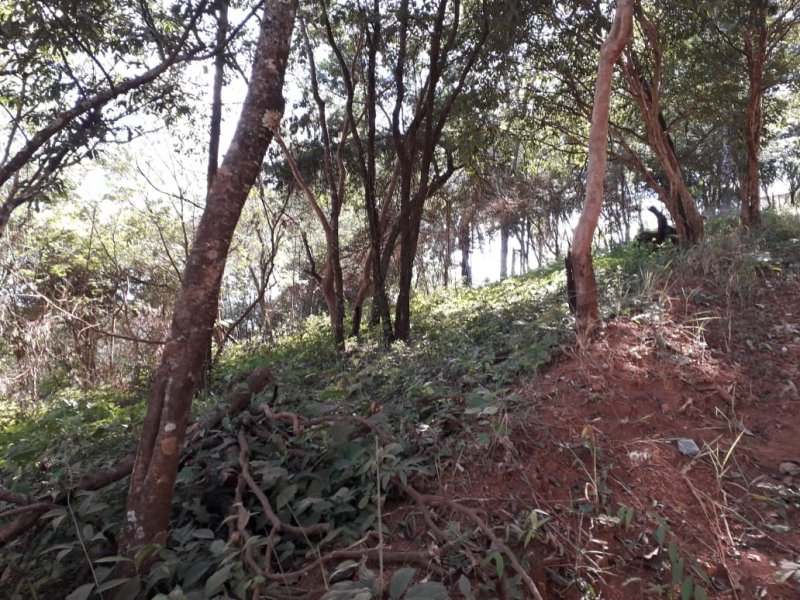 Terreno à venda Trevo de Caeté com 8400m² e  quartos por R$ 169.000 - 391941488-img-20200723-wa0006.jpg