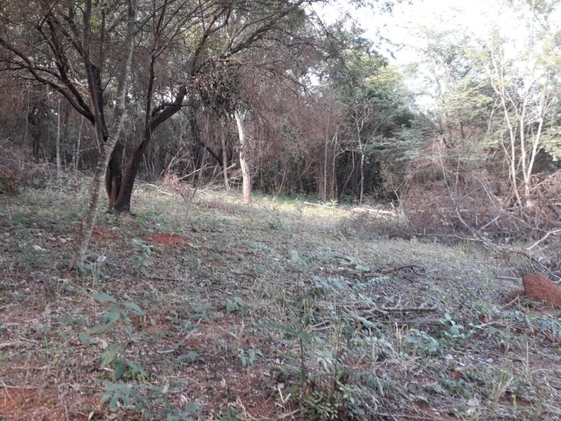 Terreno à venda Trevo de Caeté com 8400m² e  quartos por R$ 169.000 - 532111121-img-20200723-wa0034.jpg