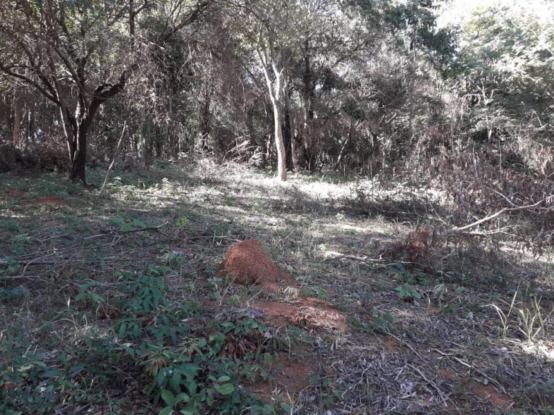 Terreno à venda Trevo de Caeté com 8400m² e  quartos por R$ 169.000 - 711762236-img-20200723-wa0008.jpg