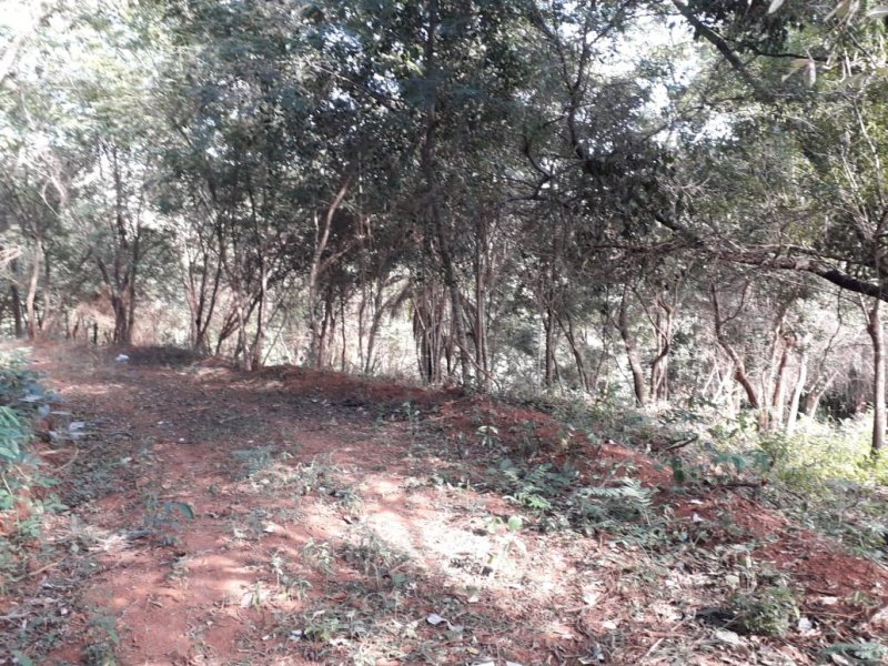 Terreno à venda Trevo de Caeté com 8400m² e  quartos por R$ 169.000 - 753710561-img-20200723-wa0025.jpg