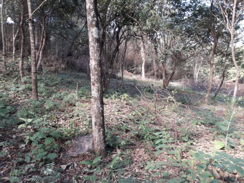 Terreno à venda Trevo de Caeté com 8400m² e  quartos por R$ 169.000 - 756331991-img-20200723-wa0028.jpg
