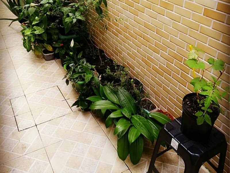 Casa de condomínio à venda Centro com 49m² e 2 quartos por R$ 240.000 - 1996102458-img-20200802-135112-903.jpg