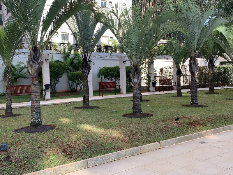Apartamento à venda Vila Suzana com 64m² e 3 quartos por R$ 350.000 - 1544121120-bb95991b-1a8a-49d3-92d2-77bebf294d7d.jpeg
