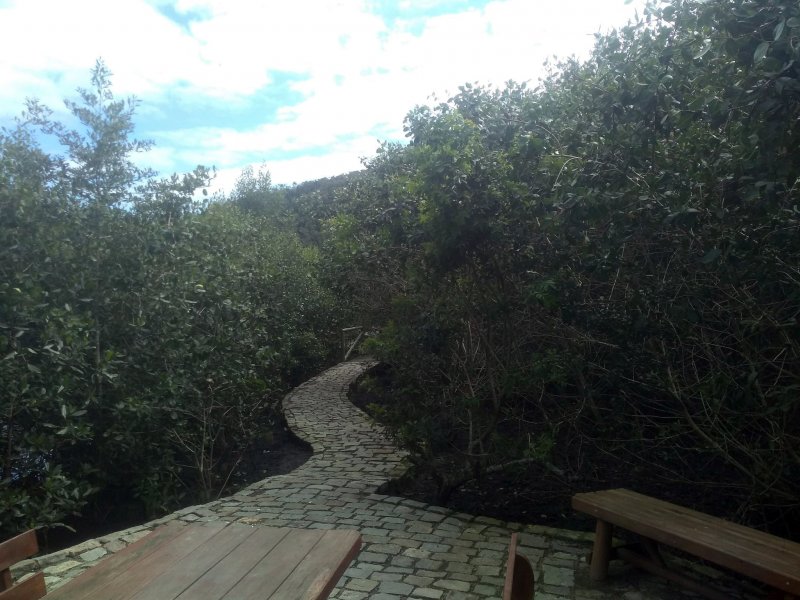 Casa à venda Itaipu com 360m² e 3 quartos por R$ 520.000 - 482027068-118437644-402687850698290-3735232565263685477-n.jpg