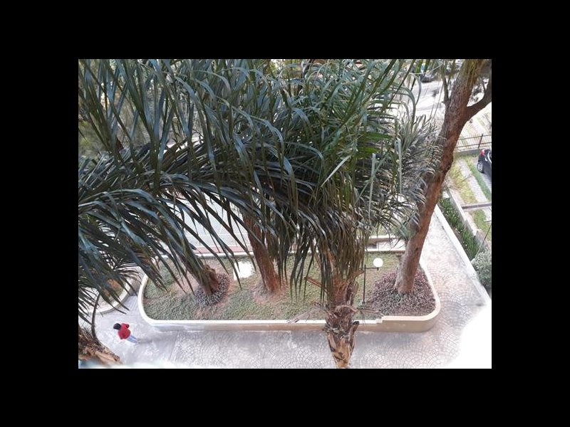 Apartamento à venda Vila das Belezas com 60m² e 3 quartos por R$ 340.000 - 1552350184-46.jpeg