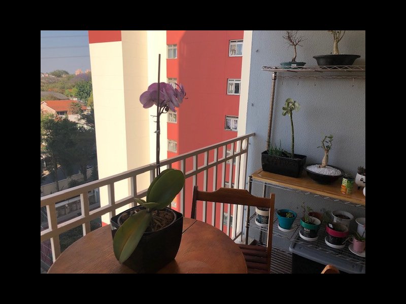 Apartamento à venda Jardim Esmeralda com 62m² e 3 quartos por R$ 350.000 - 1276864129-sim-11.jpg