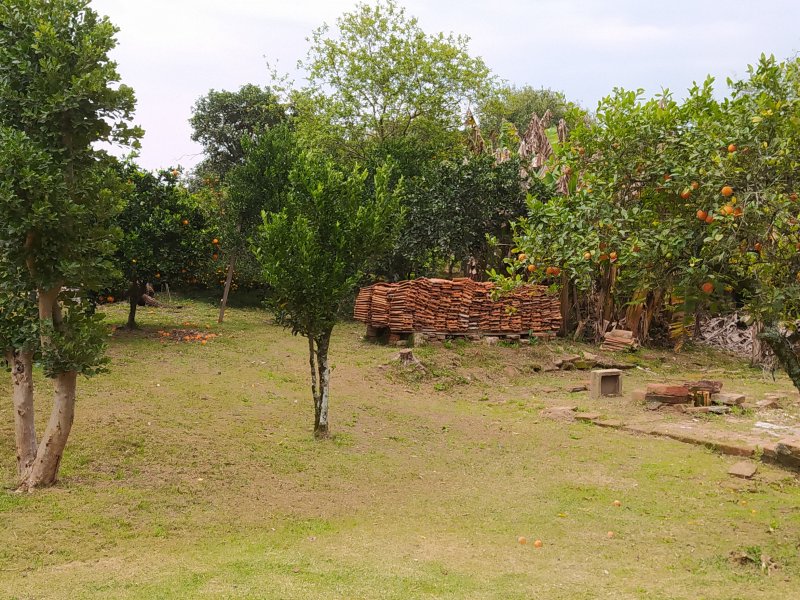 Chácara à venda Morungava com 1m² e 3 quartos por R$ 150.000 - 958522668-img-20200828-131643.jpg