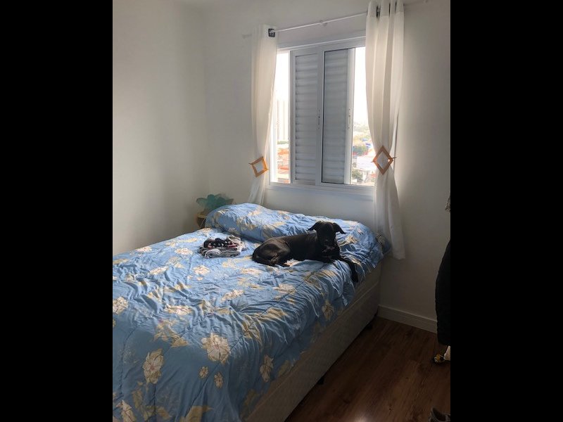 Apartamento à venda Vila Água Funda com 62m² e 3 quartos por R$ 440.000 - 2027097700-img-8129.jpg