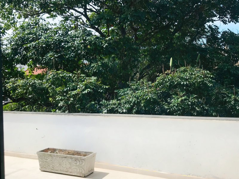 Cobertura à venda Recreio dos Bandeirantes com 300m² e 3 quartos por R$ 750.000 - 498718301-img-5930-1.JPG