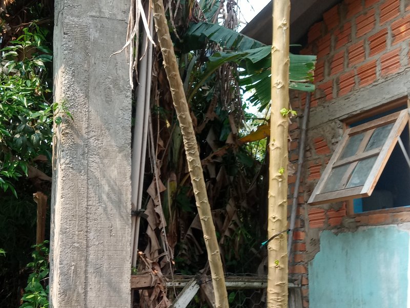 Casa à venda Aberta dos Morros com 100m² e 4 quartos por R$ 450.000 - 2068452504-15996674494897295755695231813092.jpg