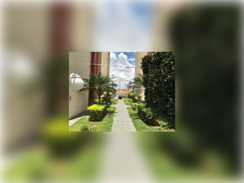 Apartamento à venda Casa Verde Alta com 54m² e 2 quartos por R$ 250.000 - nova-imagem-10.png