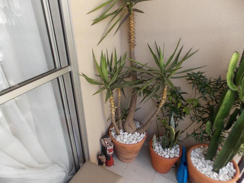 Apartamento à venda Vila Formosa com 57m² e 2 quartos por R$ 277.000 - 1110573735-a57c95a2-e9b8-48e6-a331-4d89e380234f.jpeg