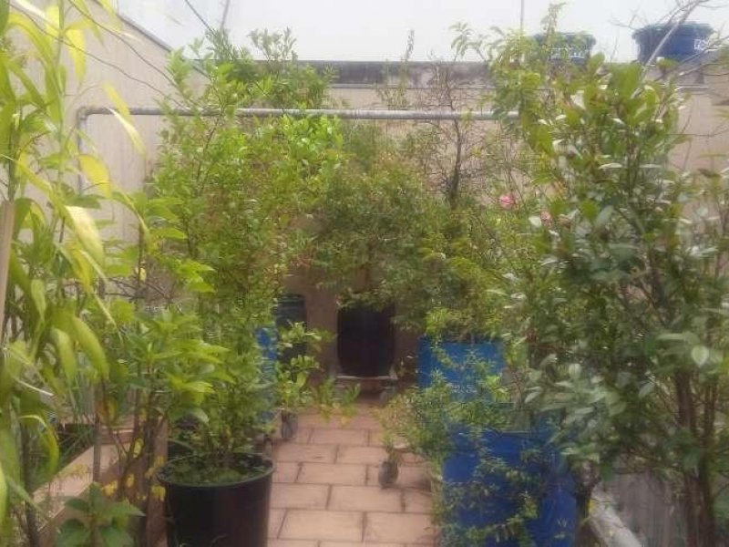 Casa à venda Ipiranga  com 345m² e 4 quartos por R$ 920.000 - 1587289482-cc050017-ad23-4343-8fa0-d7c50759af28.jpeg