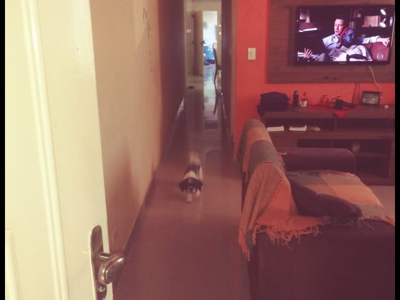 Casa à venda Parque Paraiso com 125m² e 4 quartos por R$ 385.000 - 2091753574-030bb9b0-d3d3-4aa3-bf71-b08f97813c7e.jpeg