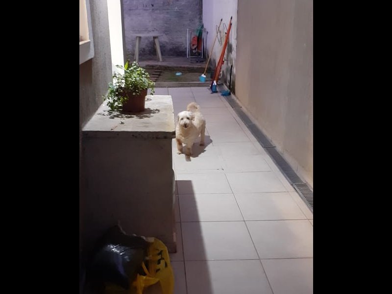 Casa de condomínio à venda Vl. N. Sra. das Gracas com 88m² e 3 quartos por R$ 350.000 - 2003181696-whatsapp-image-2022-01-24-at-10.jpeg